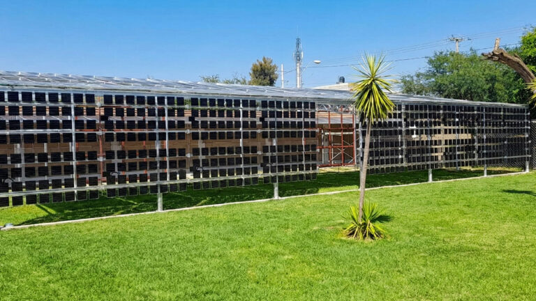 paneles solares invernaderos